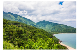 From Da Nang: Explore Da Nang City in a Half-day (Group Tour minimum for 2pax)