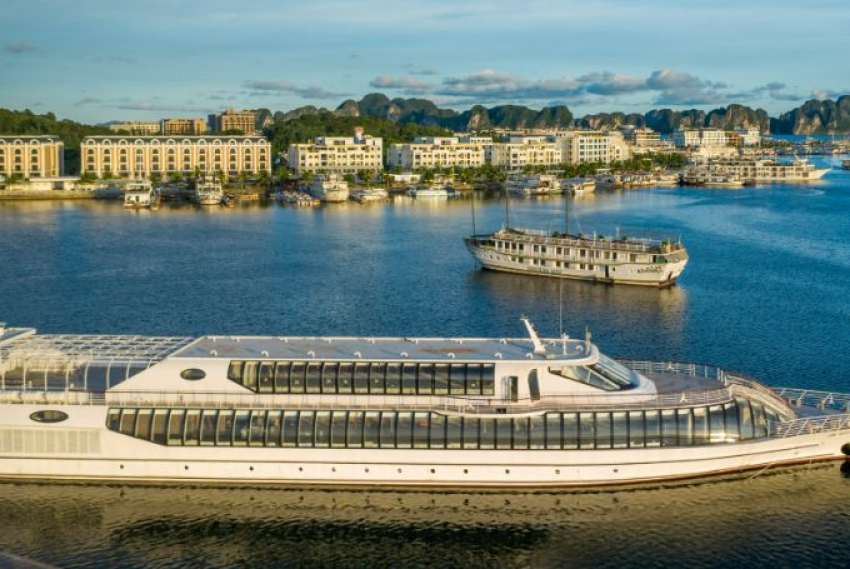 PARADISE DELIGHT Cruise